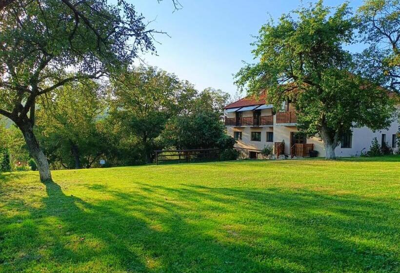 Pensiunea Agroturistica Ica