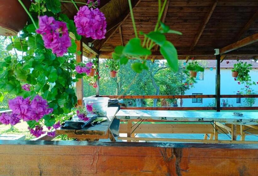 Pensiunea Agroturistica Ica