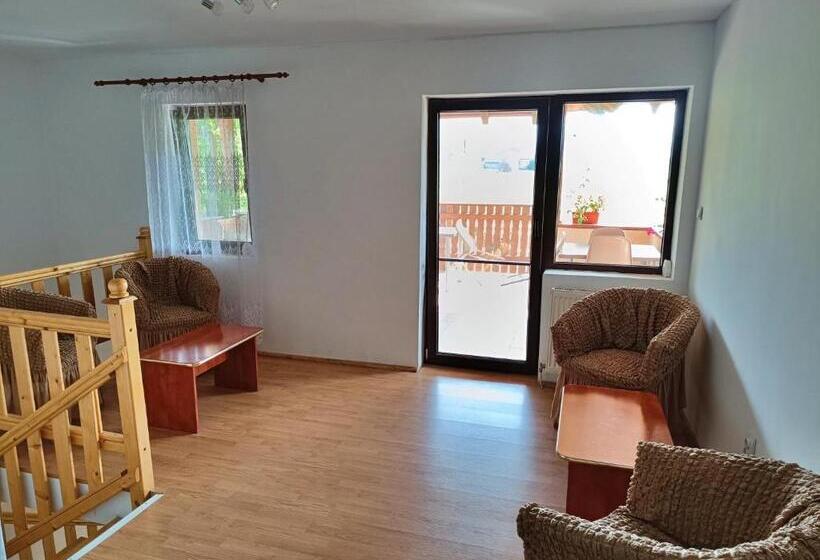 Pensiunea Agroturistica Ica