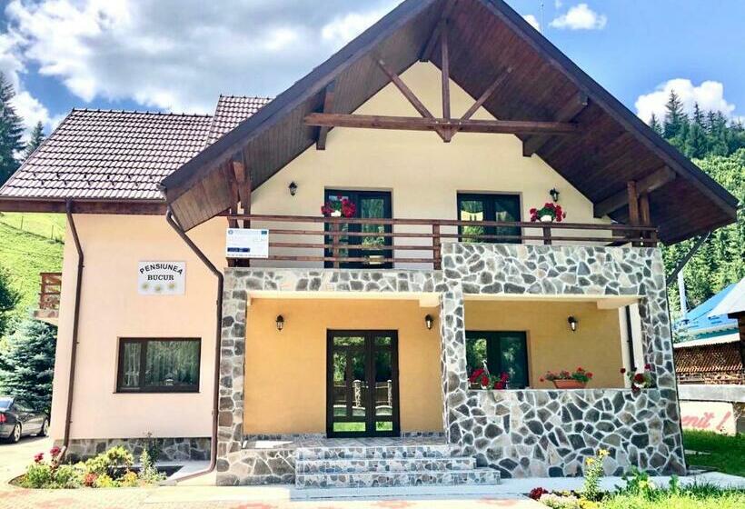 Pensiunea Bucur