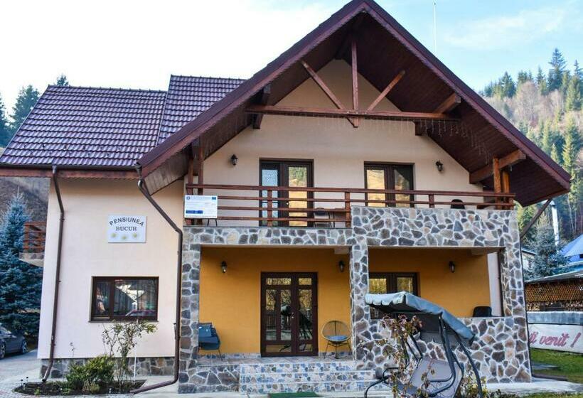 Pensiunea Bucur