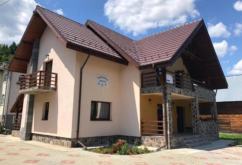 Pensiunea Bucur