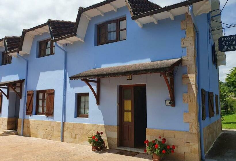 호스텔 La Casa De Mamasita