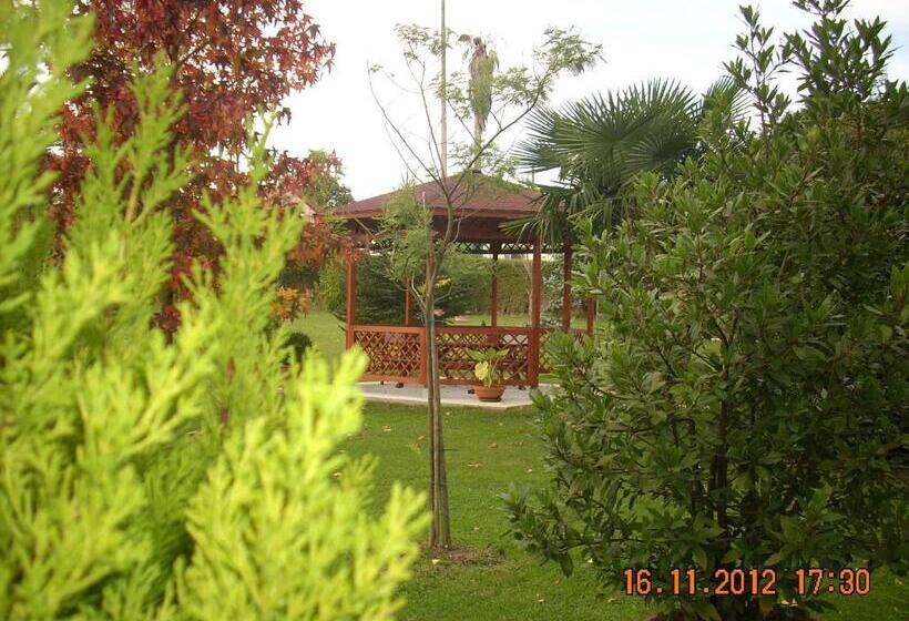 הוסטל La Casa De Mamasita