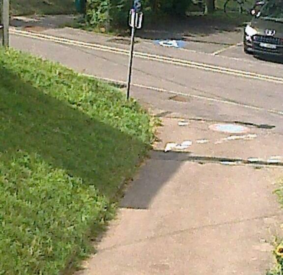 ユースホステル Vandoeuvre International Home