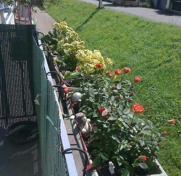 ユースホステル Vandoeuvre International Home