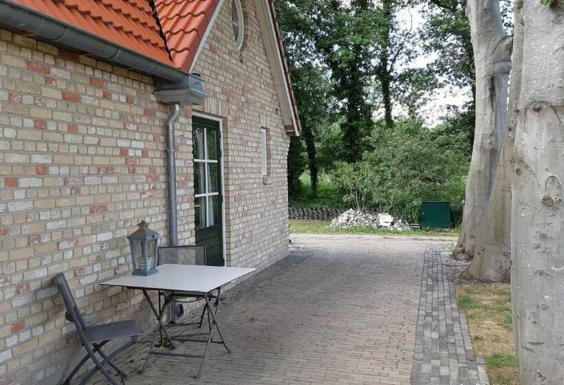 צימר De Waterjuffer