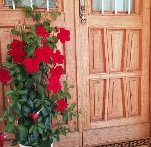 B&b La Casa Di Loretta