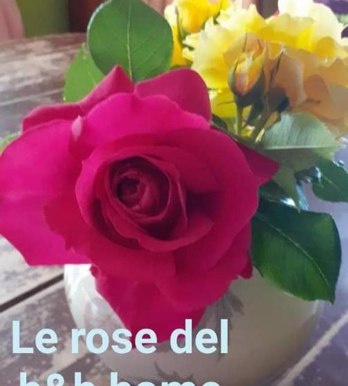 B&b La Vecchia Quercia Home Restaurant