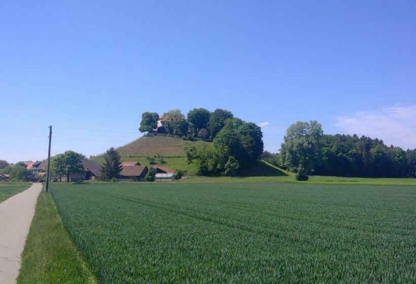 Bed And Breakfast 24