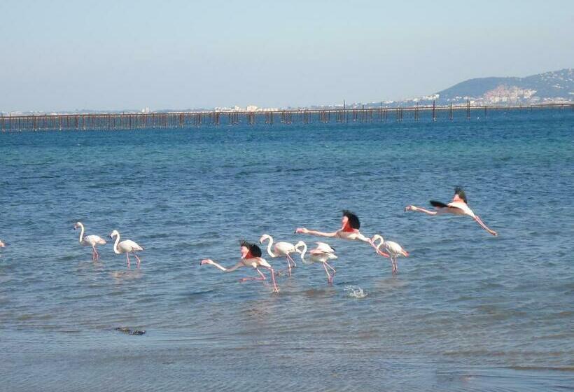 تختخواب و صبحانه Au Bord De Thau