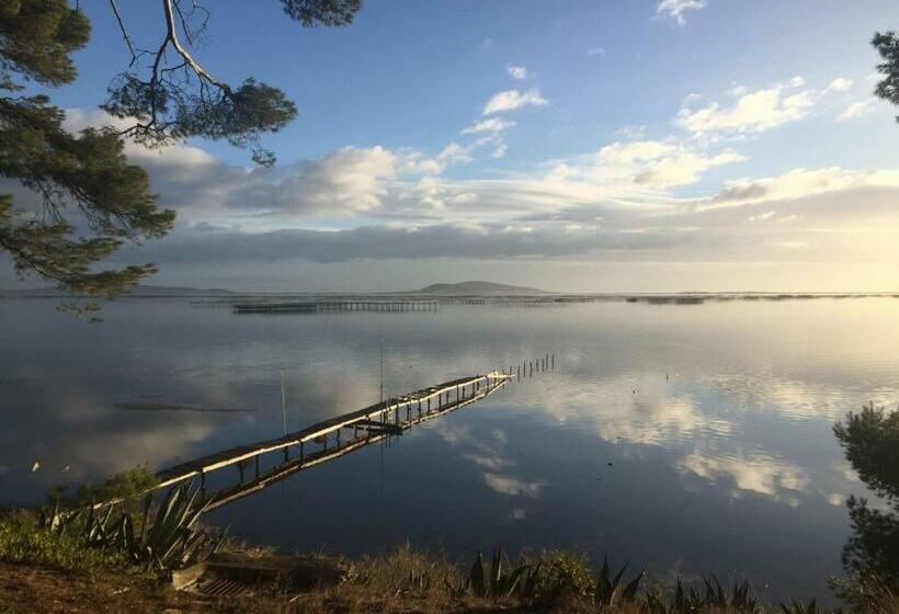 Bed and Breakfast Au Bord De Thau