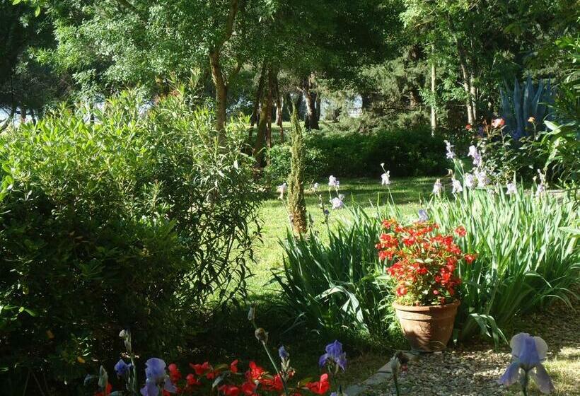 Bed and Breakfast Au Bord De Thau