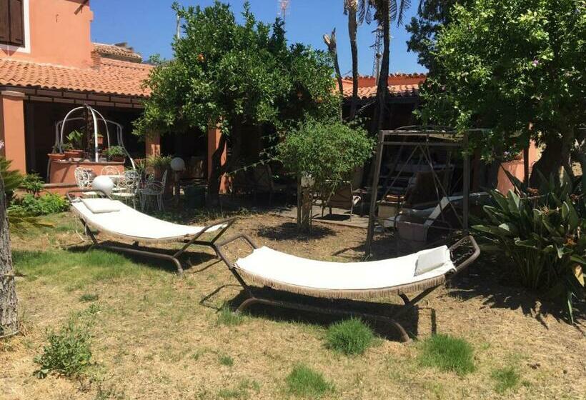 مبيت وإفطار B B Casa Vacanze Il Pino Di Pino