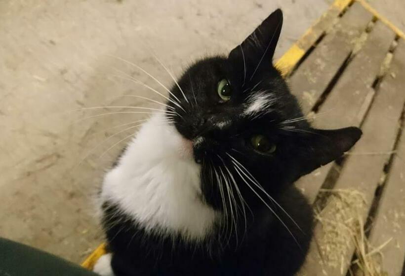 צימר Bo I Remmarlöv