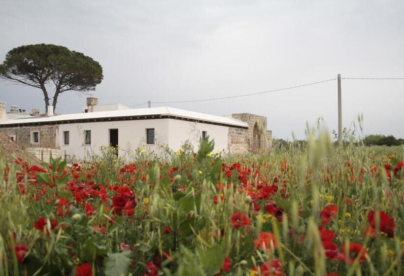 تختخواب و صبحانه Casina Solatia