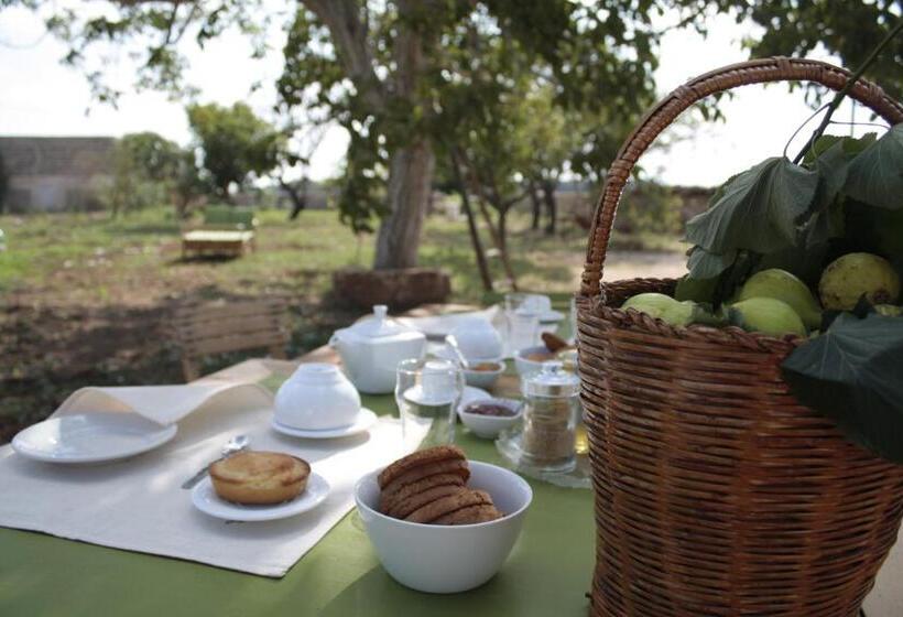 Bed and Breakfast Casina Solatia