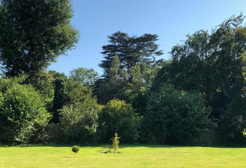 住宿加早餐  Caynham Court