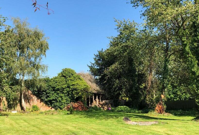 住宿加早餐  Caynham Court