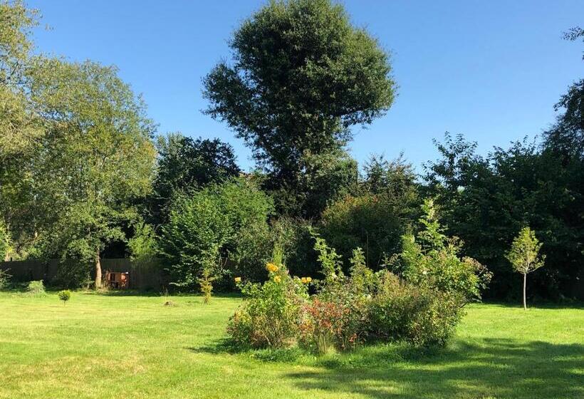 住宿加早餐  Caynham Court