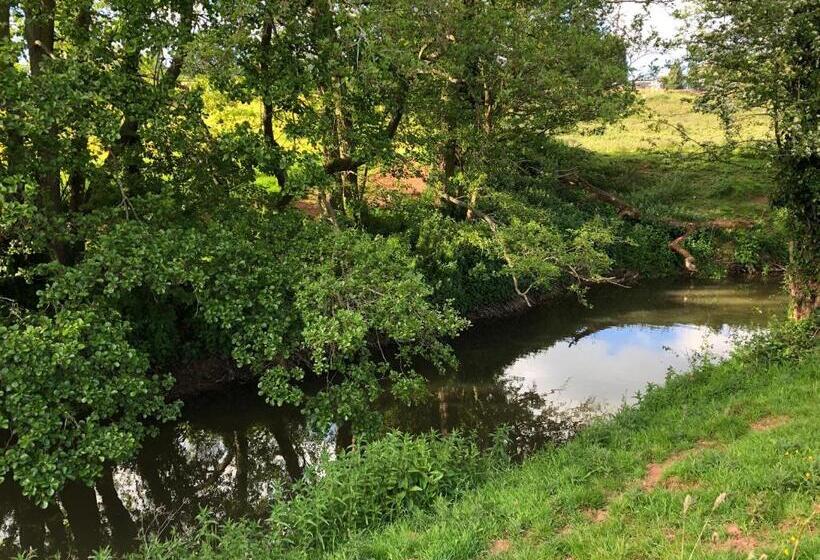 住宿加早餐  Caynham Court