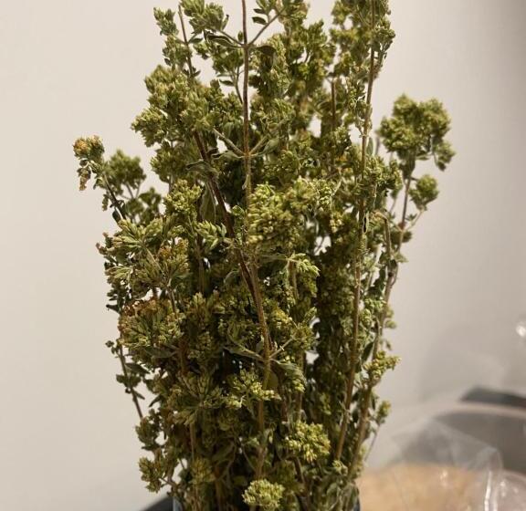 住宿加早餐  Co Mó   Camera A Sud   Affittacamere