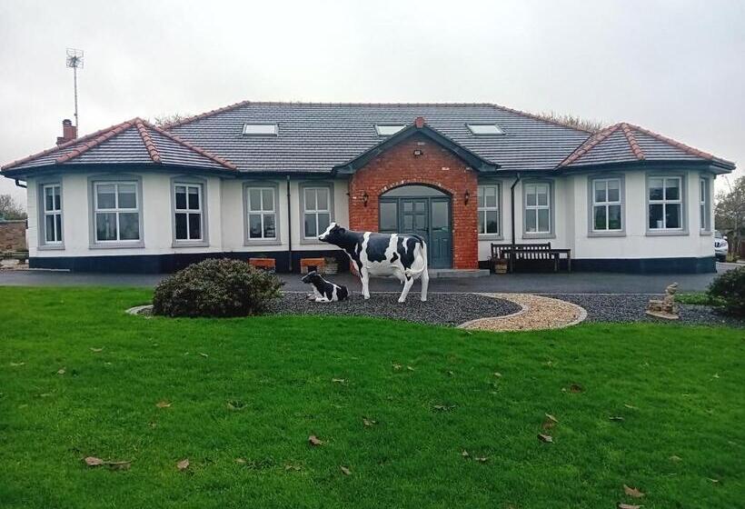 Bed and Breakfast Creeghduff Lodge
