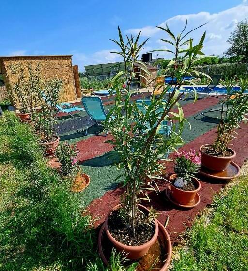 민박 Csodarét Kúria