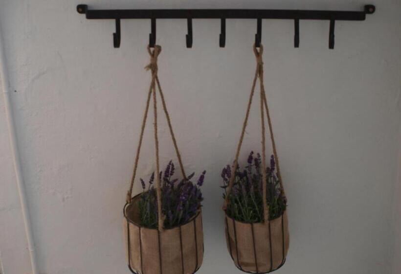 צימר De Hoefstal 1765