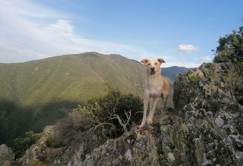 Bed and Breakfast Inlakesh