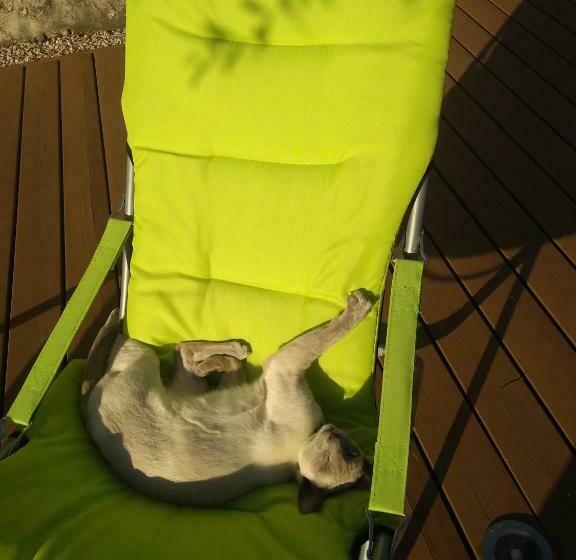 Bed and Breakfast La Chaumerie