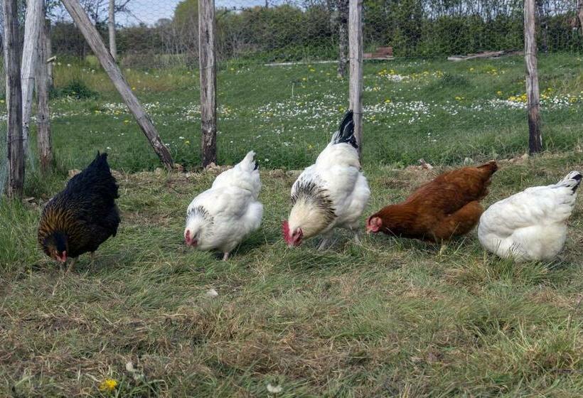 Bed and Breakfast Le Pré De Luceau