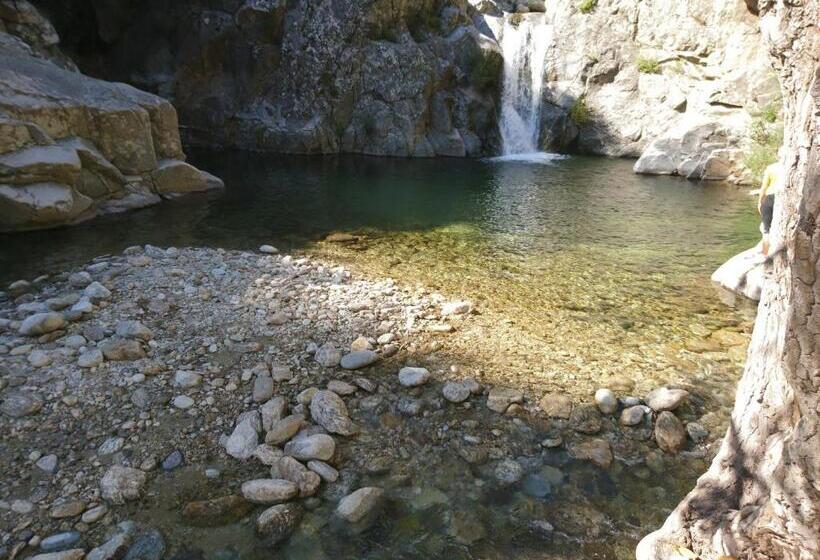 مبيت وإفطار O  Bonheur De L Olivier Chambres Et Gîtes 4 étoiles