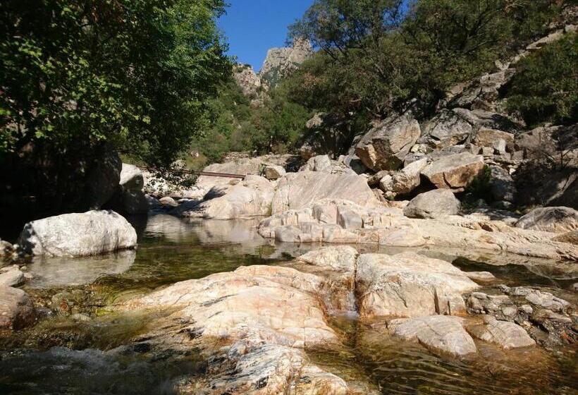 مبيت وإفطار O  Bonheur De L Olivier Chambres Et Gîtes 4 étoiles