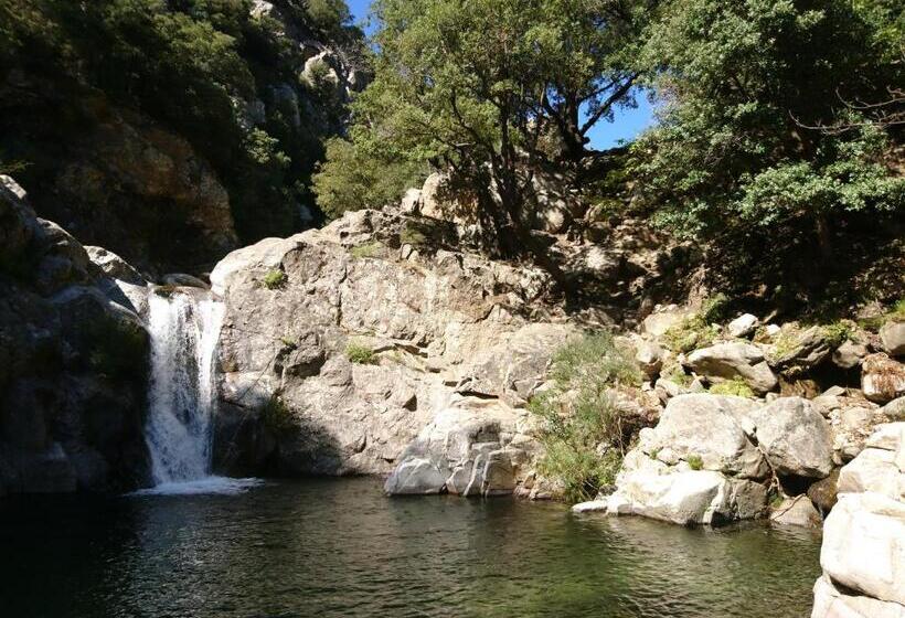 مبيت وإفطار O  Bonheur De L Olivier Chambres Et Gîtes 4 étoiles