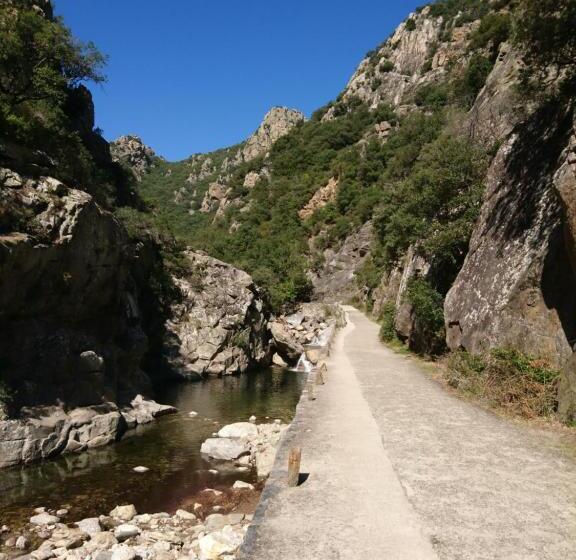 مبيت وإفطار O  Bonheur De L Olivier Chambres Et Gîtes 4 étoiles