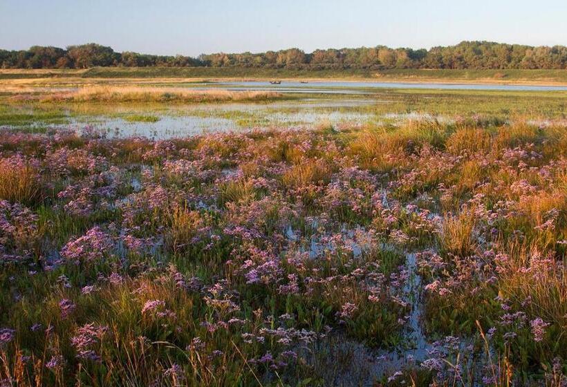 צימר Suite & Wellness