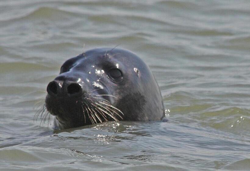 צימר Suite & Wellness
