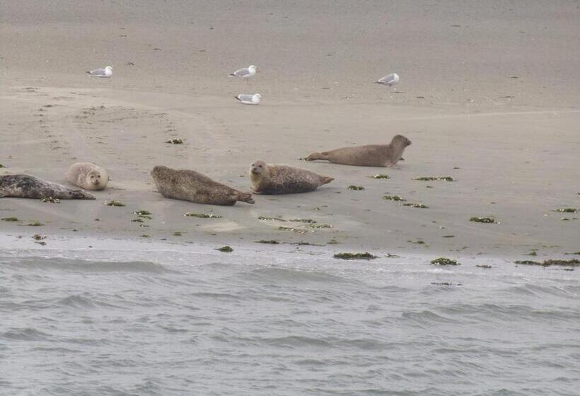 צימר Suite & Wellness