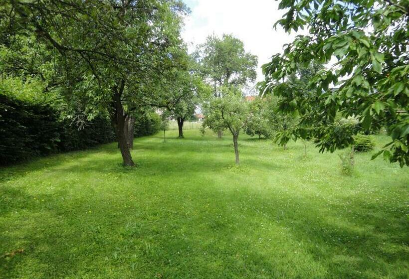 Bed and Breakfast Zeilinger Villa