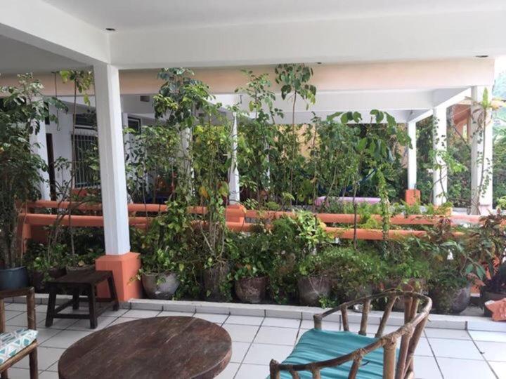 Bungalows Pacíficos