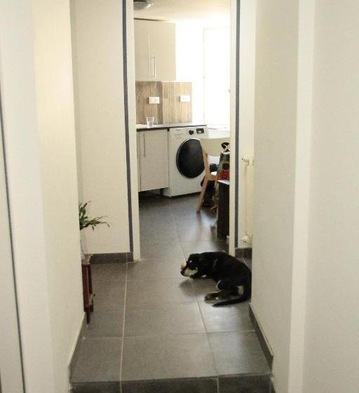 Hostel Du Lapin Blanc