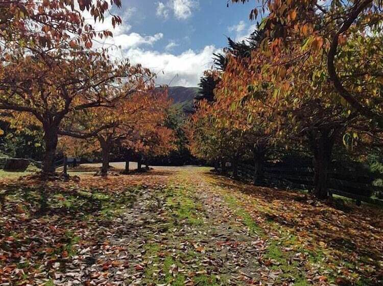 酒店 Haurata High Country Retreat/walks