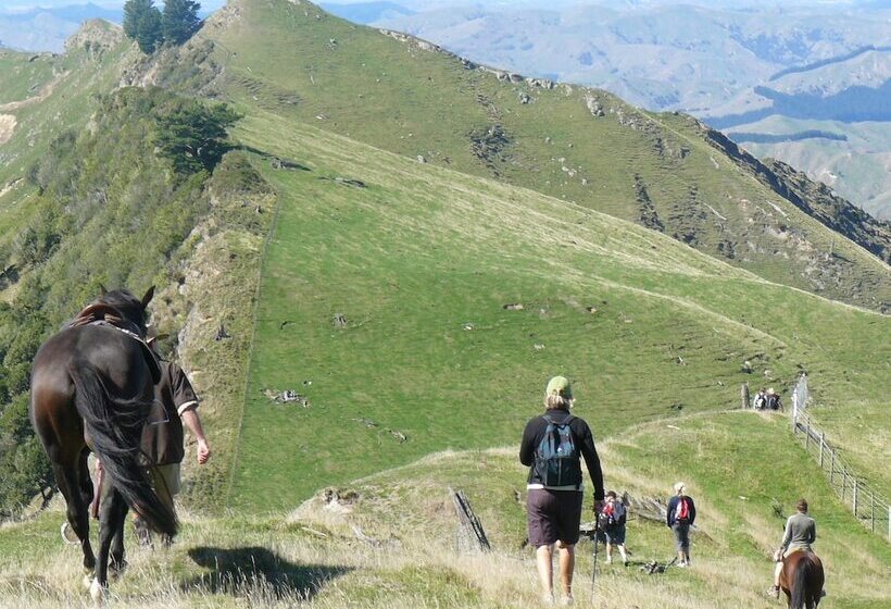 酒店 Haurata High Country Retreat/walks