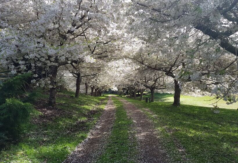 酒店 Haurata High Country Retreat/walks