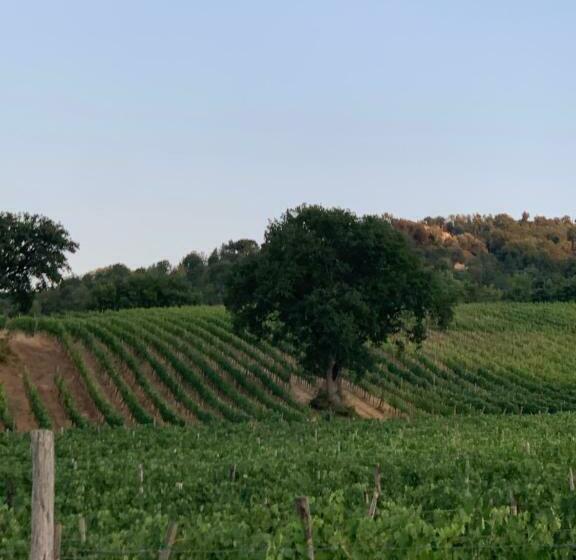 בית מלון כפרי Podere Le Mulina