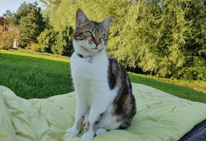 Пансион Au Jardin Sur L Eau Hortillonnages