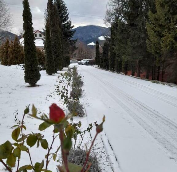 ペンション Cabana Scaricica