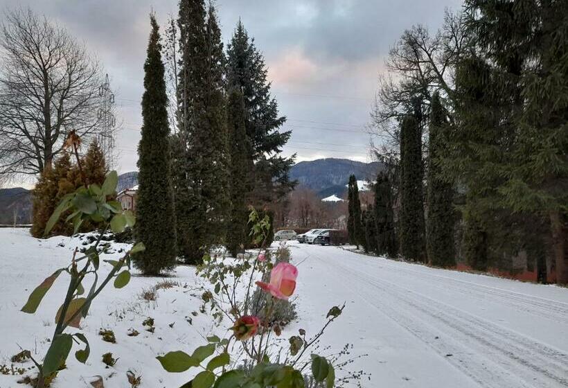 ペンション Cabana Scaricica