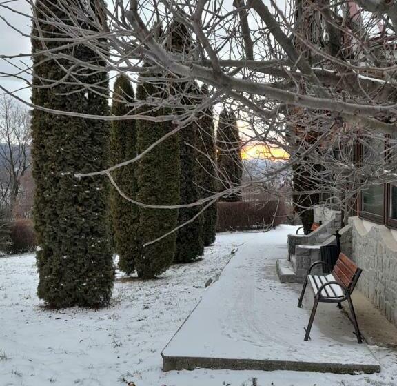 ペンション Cabana Scaricica